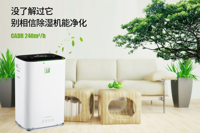 一到回南天狗狗就感冒+皮膚病，怎么辦？