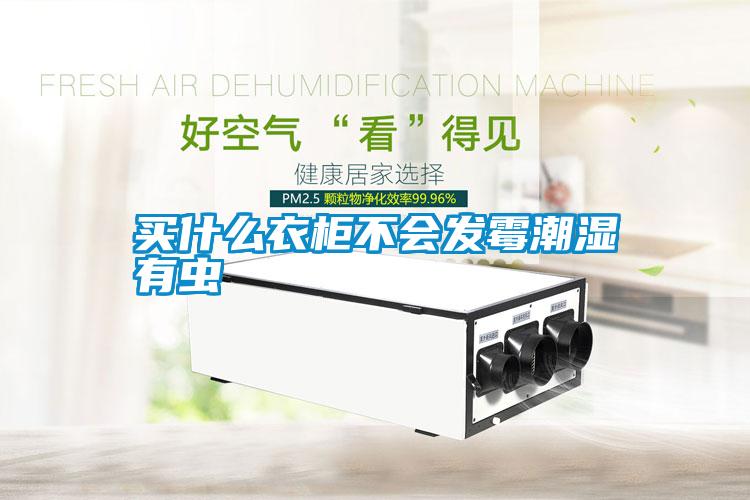 買什么衣柜不會(huì)發(fā)霉潮濕有蟲(chóng)