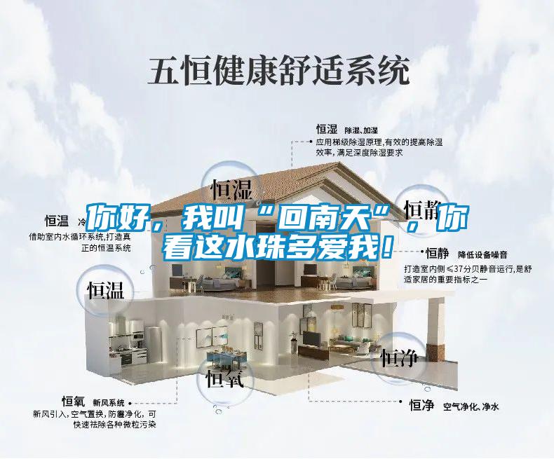 你好，我叫“回南天”，你看這水珠多愛我！