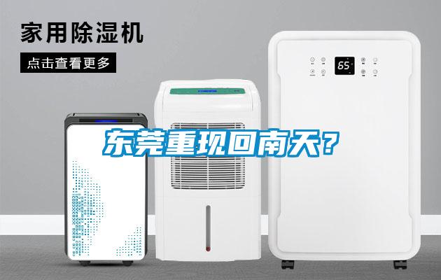 東莞重現回南天？