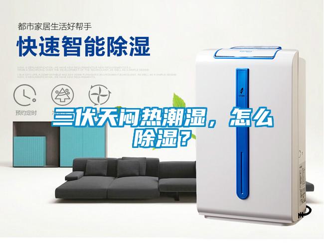 三伏天悶熱潮濕，怎么除濕？