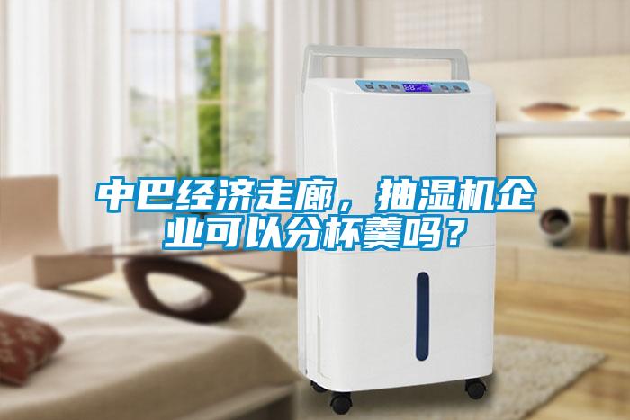 中巴經濟走廊，抽濕機企業(yè)可以分杯羹嗎？