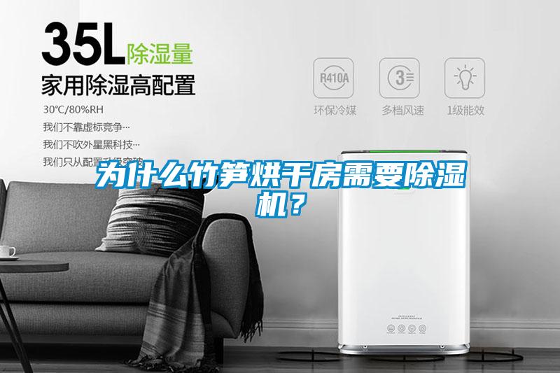 為什么竹筍烘干房需要除濕機？