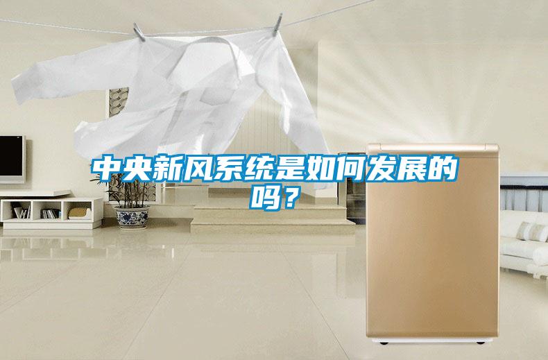 中央新風系統是如何發(fā)展的嗎？