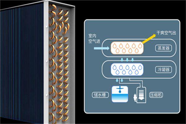 冷庫消毒用什么好？冷庫霧化消毒機