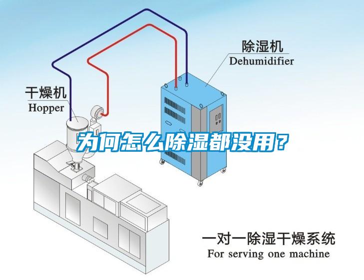 為何怎么除濕都沒用？