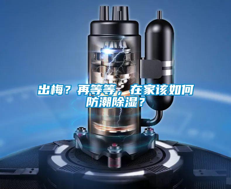 出梅？再等等，在家該如何防潮除濕？