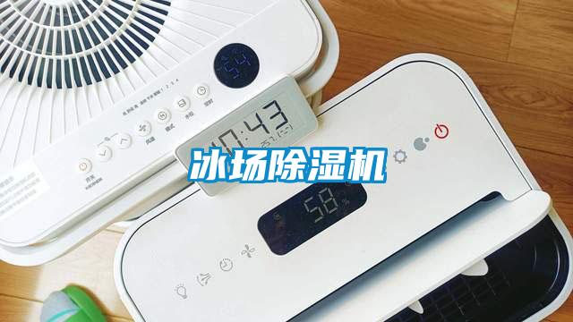 冰場(chǎng)除濕機(jī)