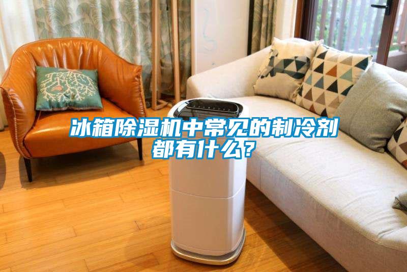 冰箱除濕機(jī)中常見(jiàn)的制冷劑都有什么？