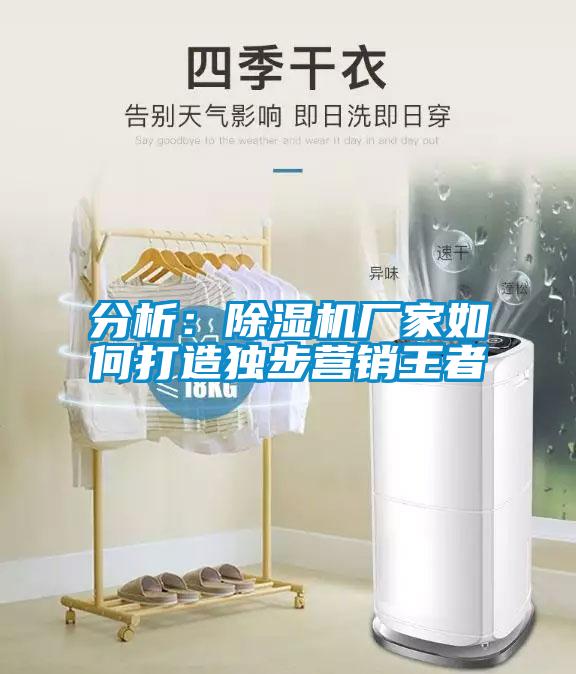 分析：除濕機(jī)廠家如何打造獨(dú)步營銷王者