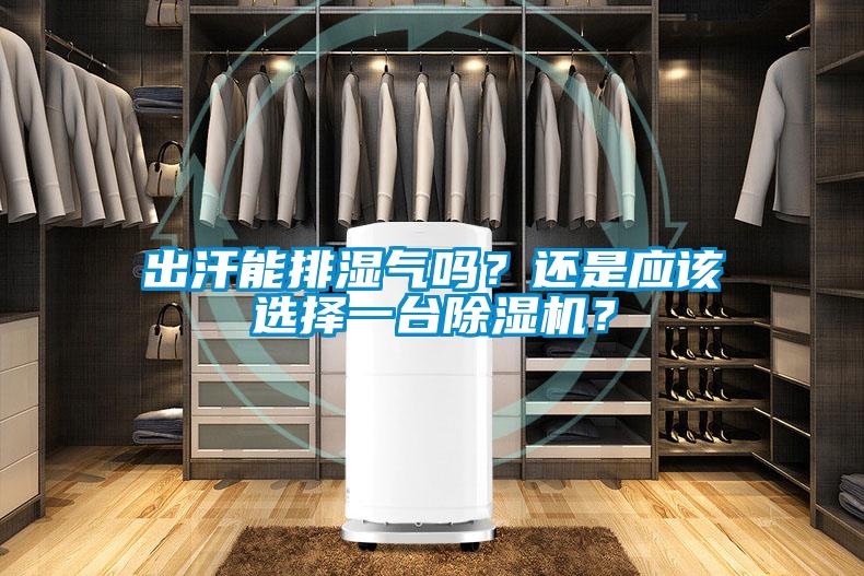 出汗能排濕氣嗎？還是應(yīng)該選擇一臺(tái)除濕機(jī)？
