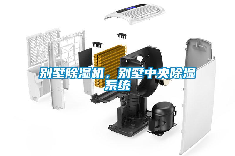 別墅除濕機，別墅中央除濕系統(tǒng)