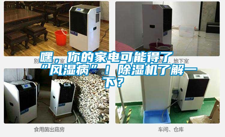 嘿，你的家電可能得了“風濕病”！除濕機了解一下？