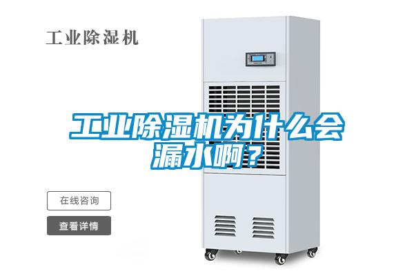 工業(yè)除濕機為什么會漏水?。?/></p>
						    <p style=