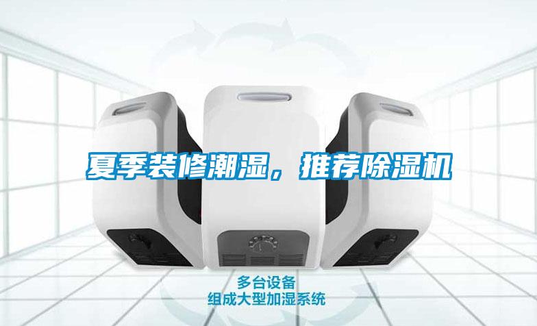 夏季裝修潮濕，推薦除濕機