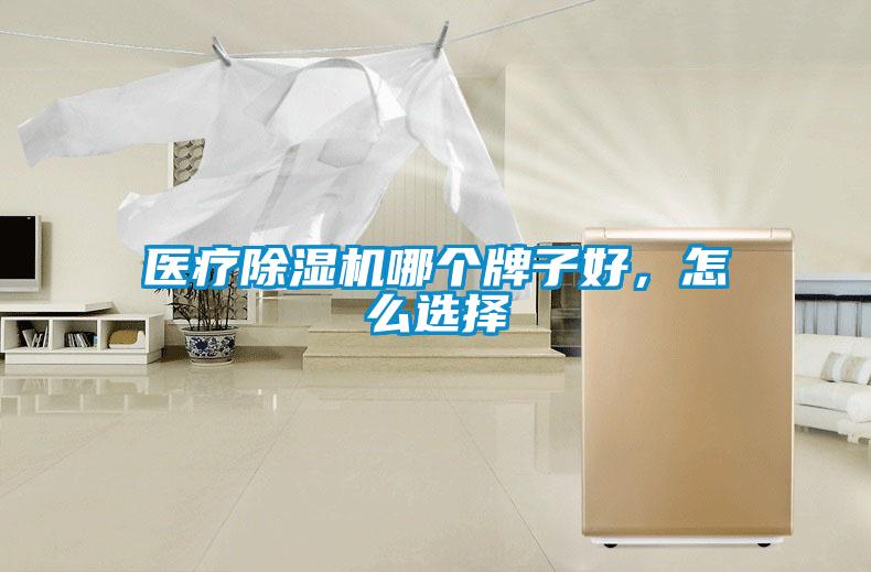 醫療除濕機哪個牌子好，怎么選擇