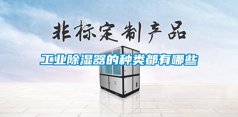 工業(yè)除濕器的種類(lèi)都有哪些