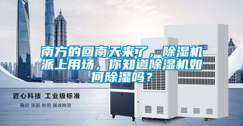 南方的回南天來了，除濕機派上用場，你知道除濕機如何除濕嗎？
