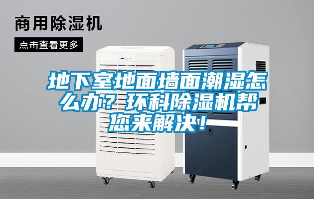 地下室地面墻面潮濕怎么辦？環科除濕機幫您來解決！