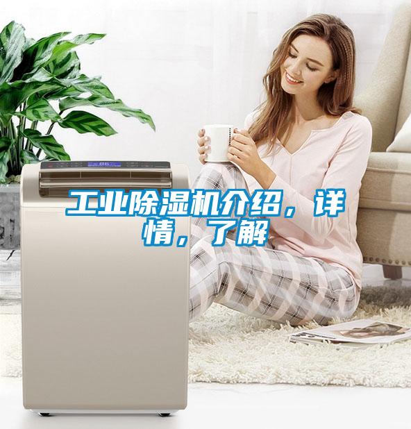 工業(yè)除濕機介紹，詳情，了解