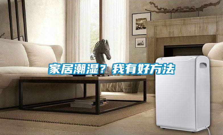 家居潮濕？我有好方法