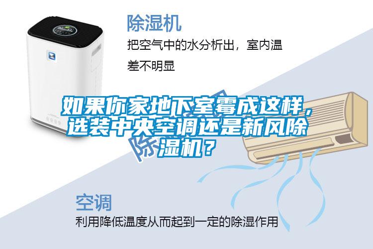 如果你家地下室霉成這樣，選裝中央空調還是新風除濕機？