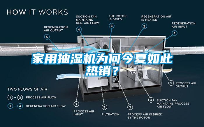 家用抽濕機(jī)為何今夏如此熱銷？