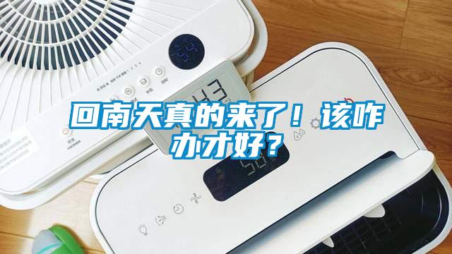 回南天真的來了！該咋辦才好？