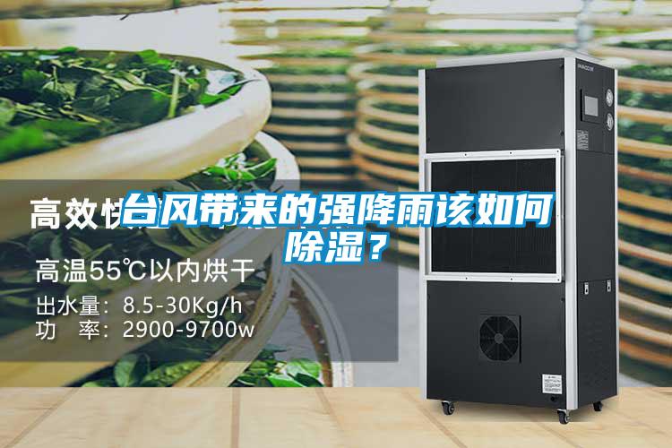 臺風(fēng)帶來的強(qiáng)降雨該如何除濕？