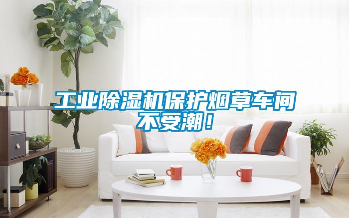 工業(yè)除濕機(jī)保護(hù)煙草車間不受潮！