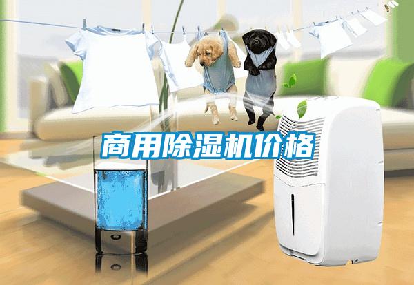商用除濕機(jī)價格