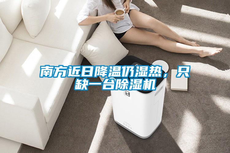 南方近日降溫仍濕熱，只缺一臺除濕機