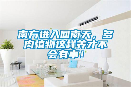 南方進入回南天，多肉植物這樣養(yǎng)才不會有事！