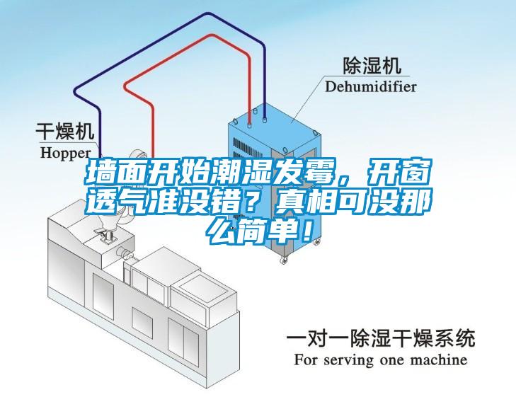 墻面開始潮濕發(fā)霉，開窗透氣準(zhǔn)沒錯(cuò)？真相可沒那么簡單！