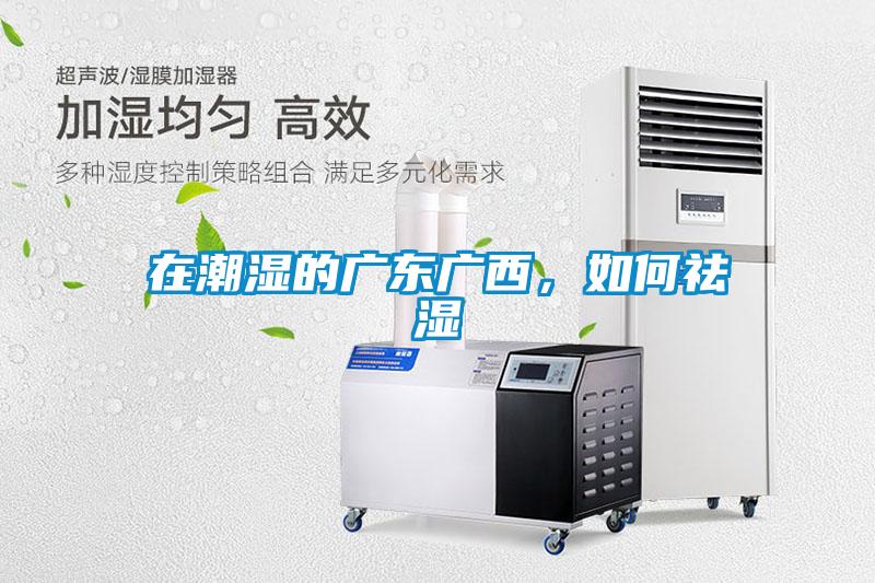 在潮濕的廣東廣西，如何祛濕