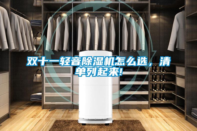雙十一輕音除濕機怎么選，清單列起來!