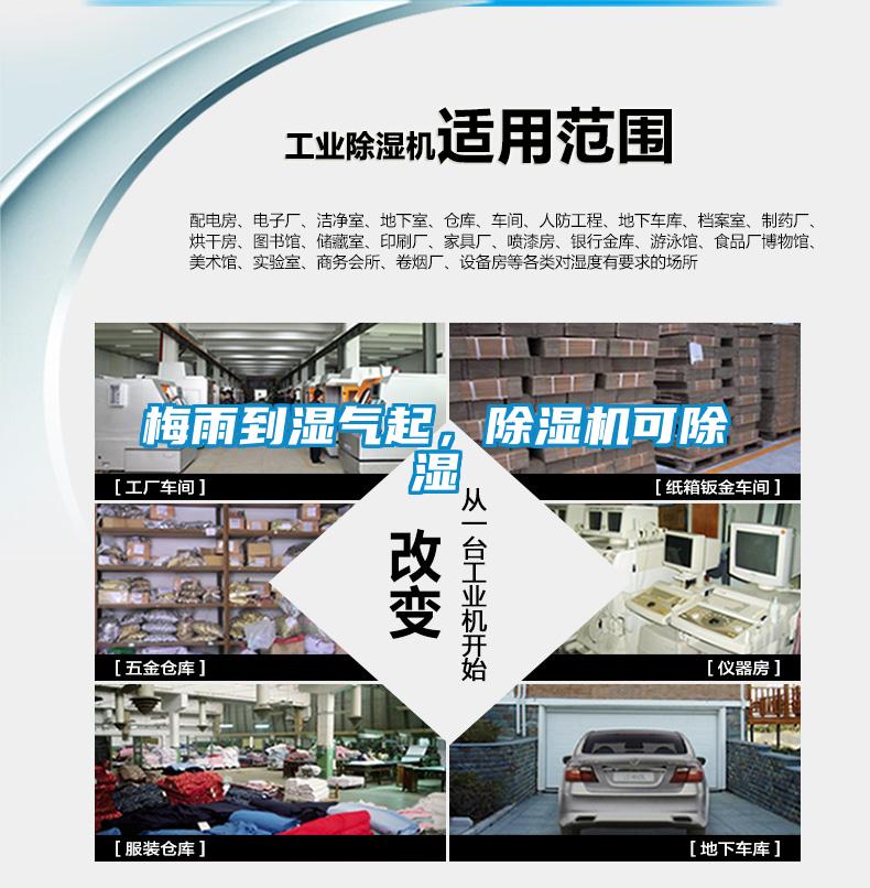 梅雨到濕氣起，除濕機(jī)可除濕