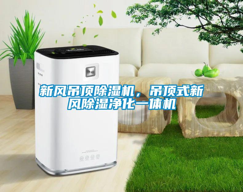 新風吊頂除濕機，吊頂式新風除濕凈化一體機
