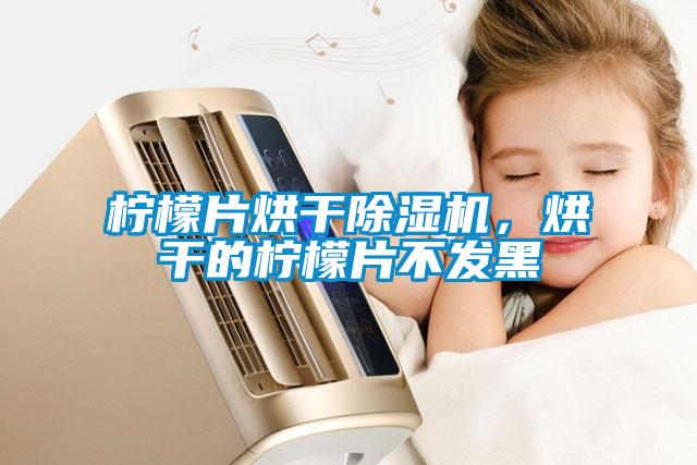 檸檬片烘干除濕機，烘干的檸檬片不發黑