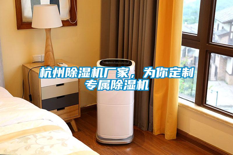 杭州除濕機(jī)廠家，為你定制專屬除濕機(jī)