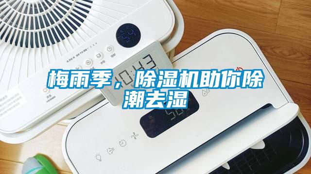 梅雨季，除濕機助你除潮去濕