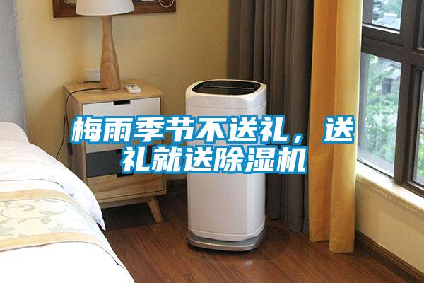 梅雨季節(jié)不送禮，送禮就送除濕機(jī)
