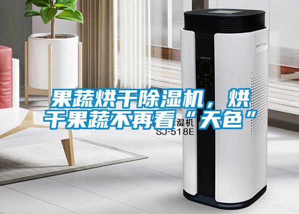 果蔬烘干除濕機，烘干果蔬不再看“天色”