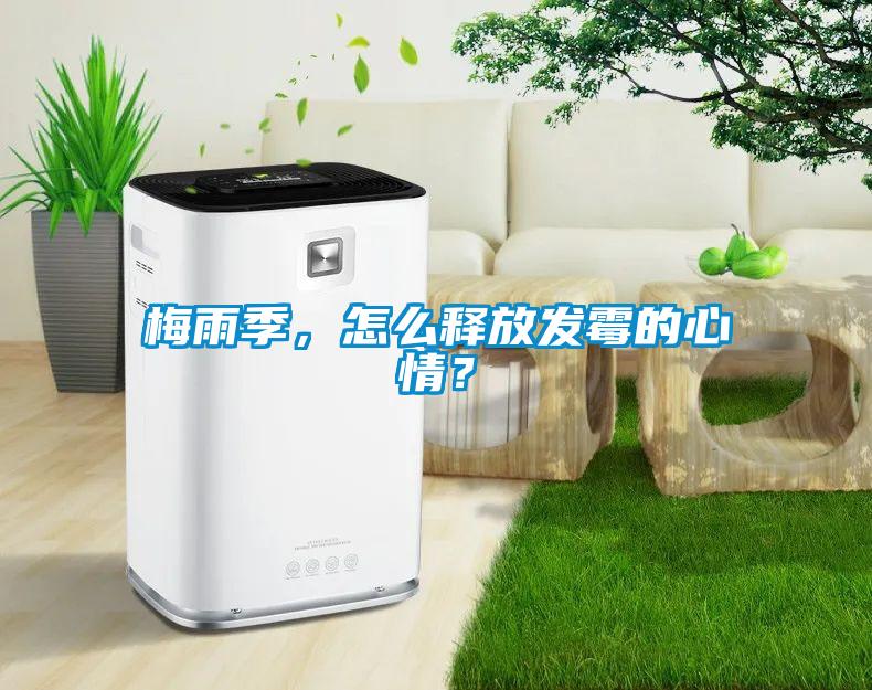 梅雨季，怎么釋放發霉的心情？