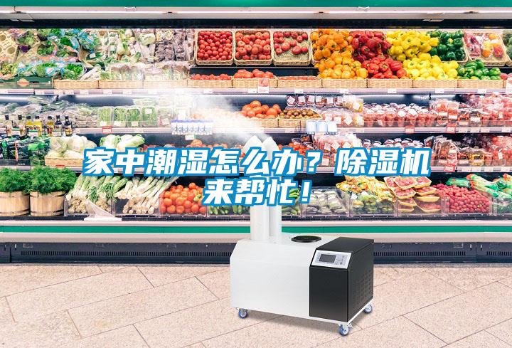 家中潮濕怎么辦？除濕機來幫忙！
