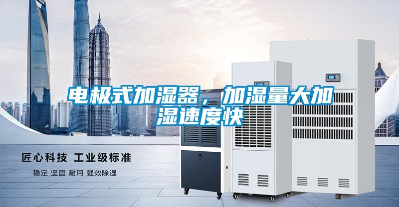 電極式加濕器，加濕量大加濕速度快