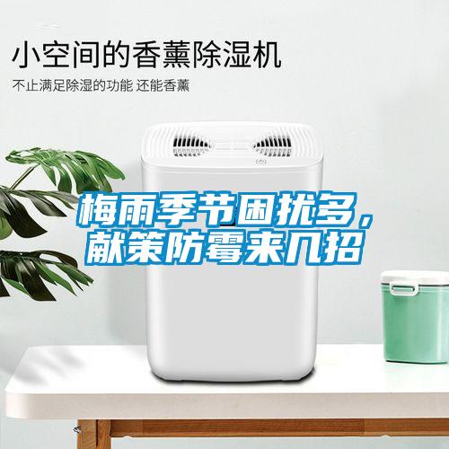 梅雨季節(jié)困擾多，獻(xiàn)策防霉來(lái)幾招