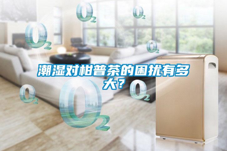 潮濕對柑普茶的困擾有多大？