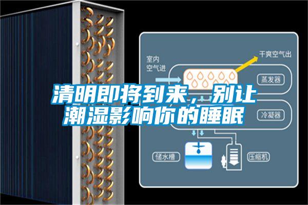 清明即將到來，別讓潮濕影響你的睡眠