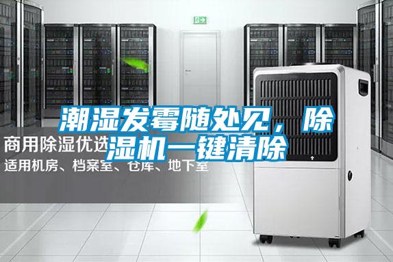 潮濕發(fā)霉隨處見(jiàn)，除濕機(jī)一鍵清除
